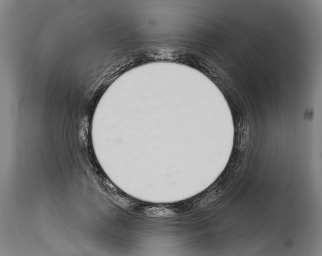 X0000114030747200911131249