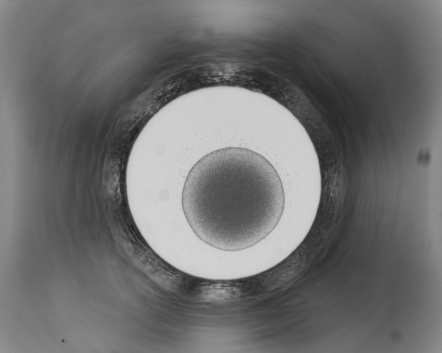 X0000114030754200911131249