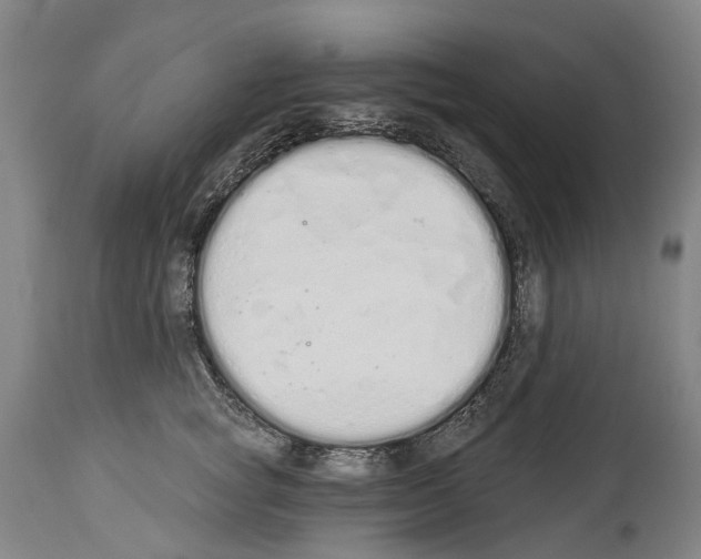 X0000114030757200911131249