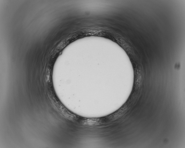 X0000114030758200911131249