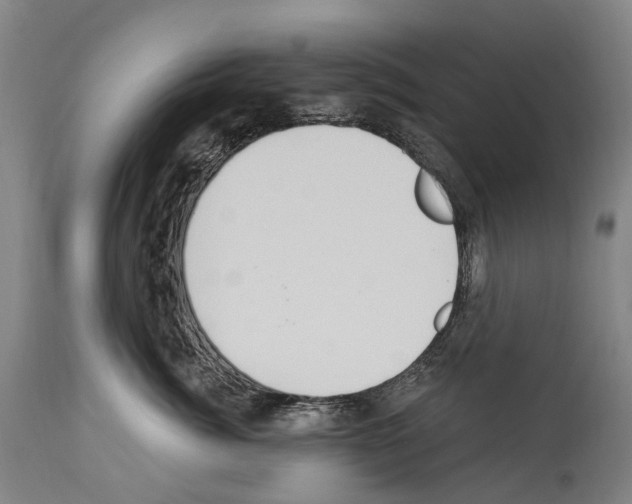 X0000114030764200911131249