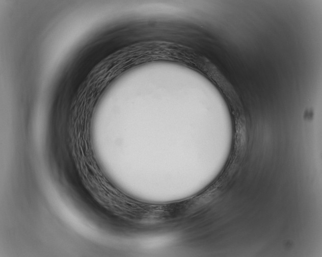 X0000114030765200911131249