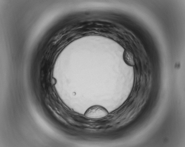 X0000114030766200911131249