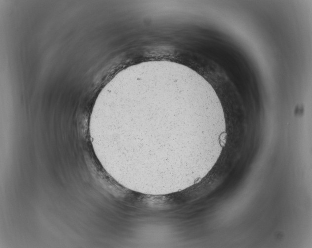 X0000114030767200911131249