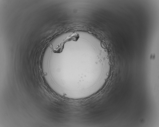 X0000114030769200911131248