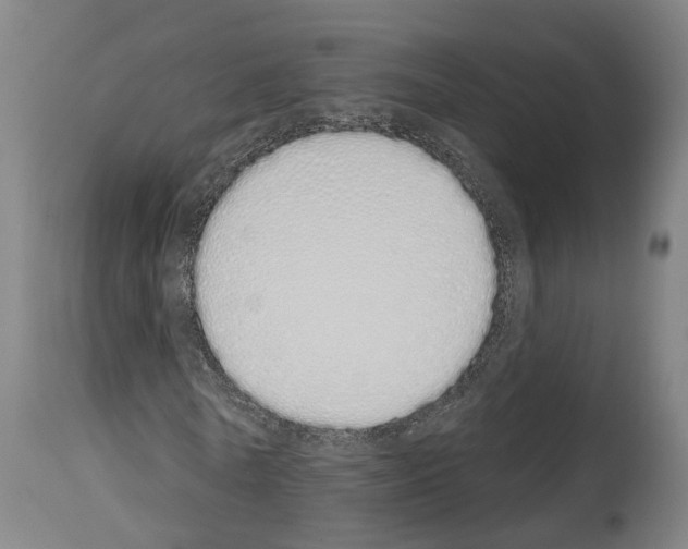 X0000114030770200911131248