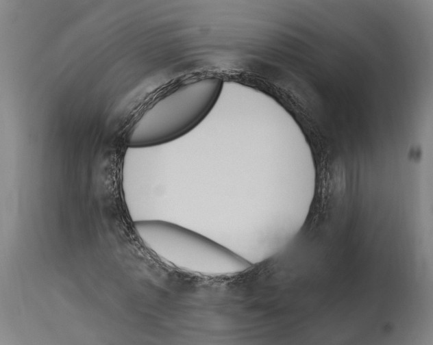 X0000114030773200911131248