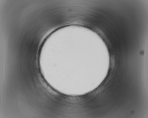 X0000114030780200911131248