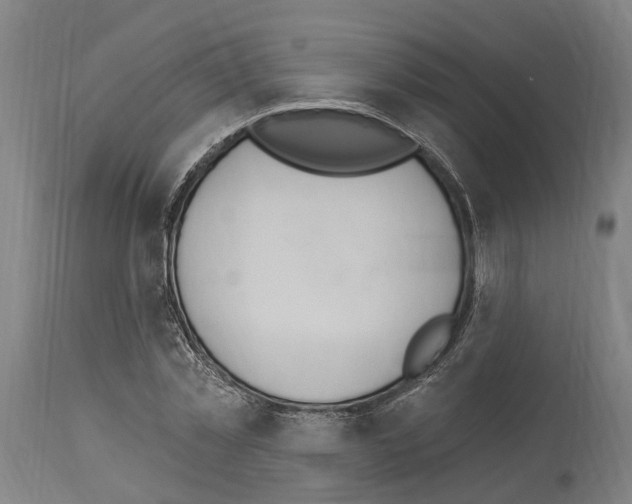 X0000114030781200911131248