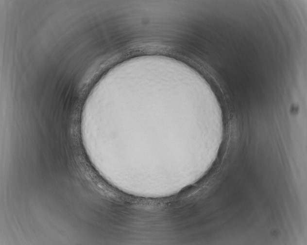 X0000114030782200911131248