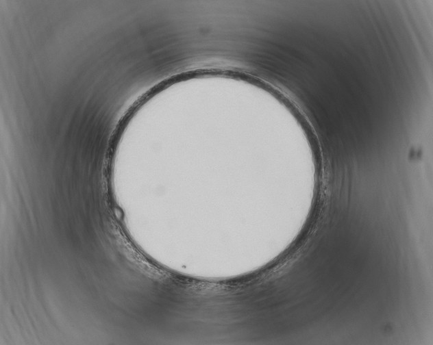 X0000114030783200911131248