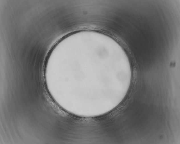 X0000114030784200911131248