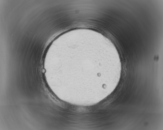 X0000114030787200911131248