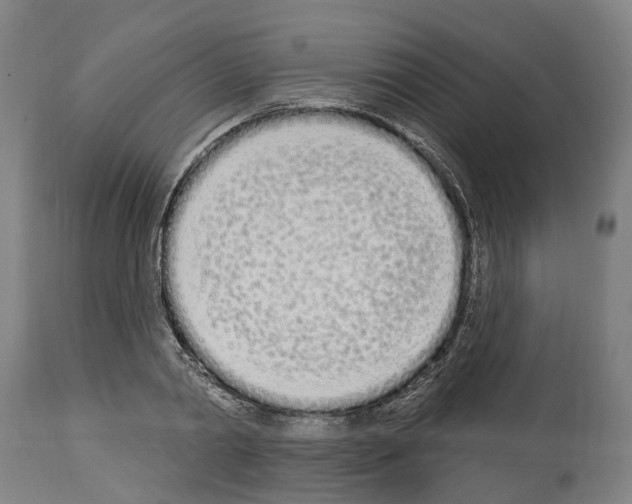 X0000114030790200911131248