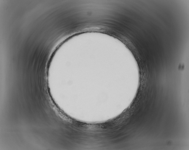 X0000114030792200911131248