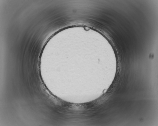 X0000114030799200911131248