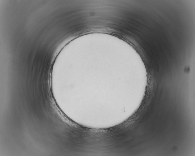 X0000114030804200911131248