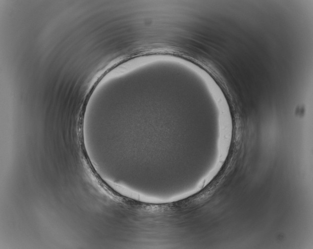 X0000114030806200911131248