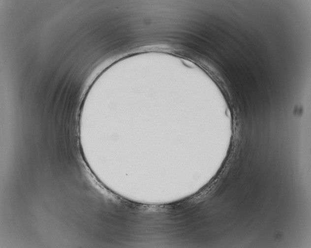 X0000114030808200911131248