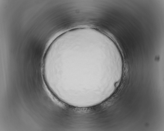 X0000114030811200911131248