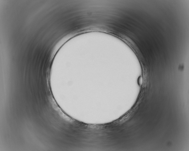 X0000114030812200911131248