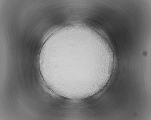 X0000114030814200911131248