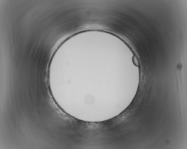 X0000114030815200911131248