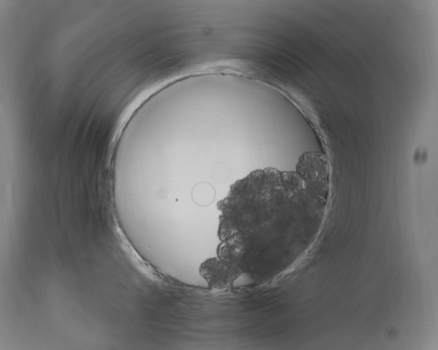 X0000114030816200911131248