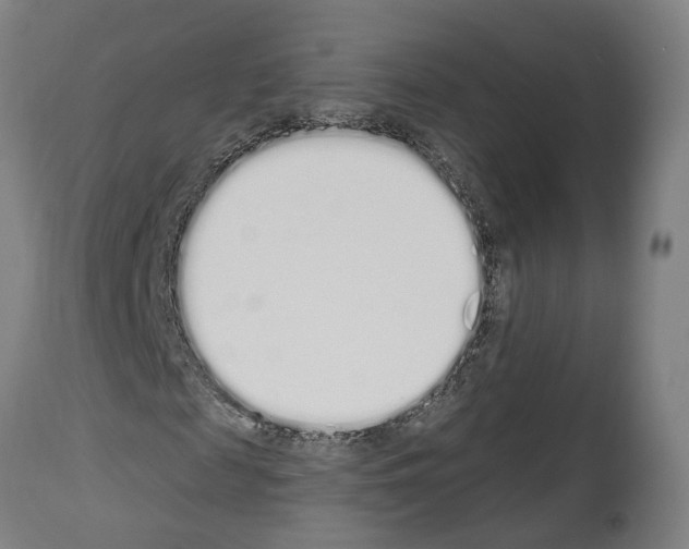 X0000114030817200911131247