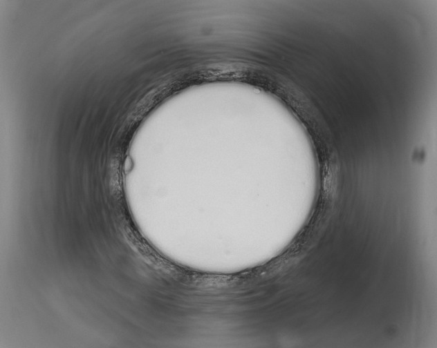 X0000114030819200911131247