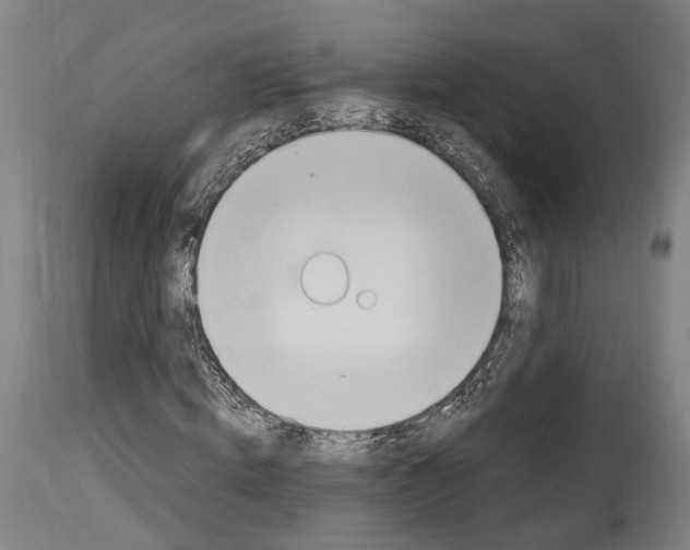 X0000114030820200911131247