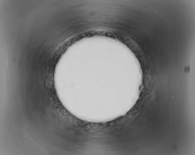 X0000114030821200911131247