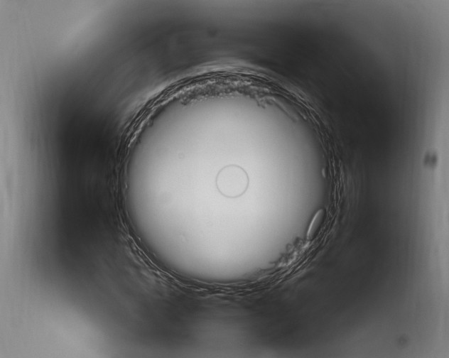 X0000114030822200911131247