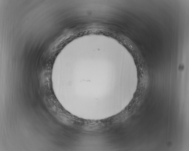 X0000114030824200911131247