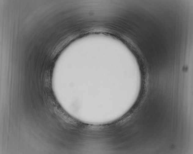 X0000114030825200911131247