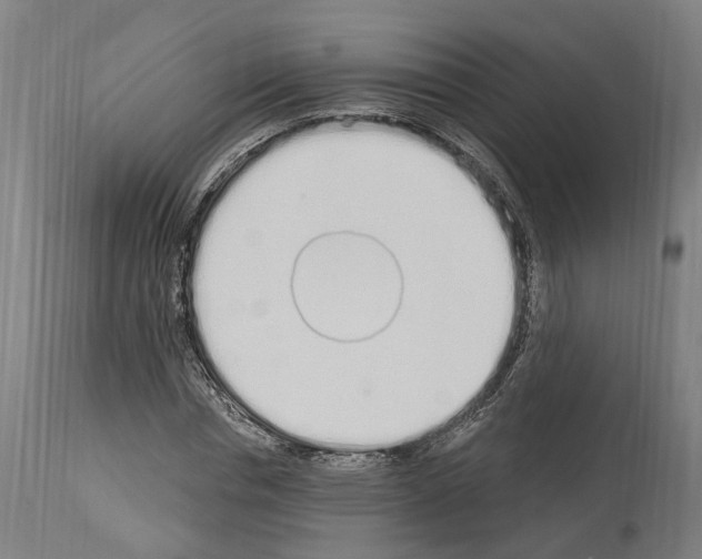 X0000114030826200911131247