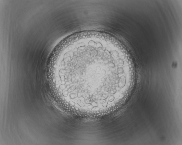 X0000114030830200911131247