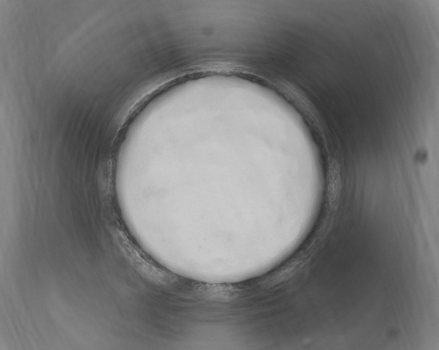 X0000114030831200911131247