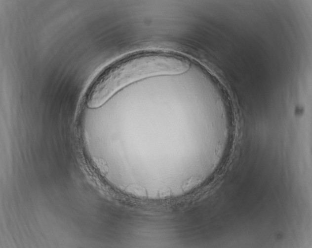 X0000114030832200911131247