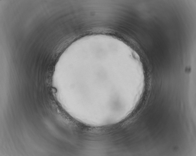 X0000114030833200911131247