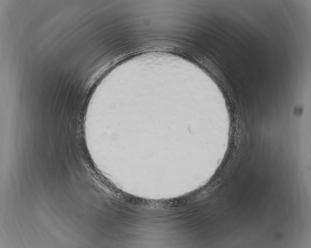 X0000114030834200911131247