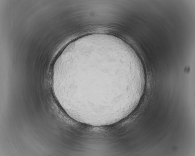 X0000114030835200911131247