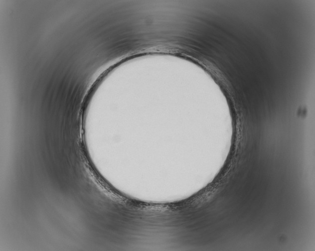 X0000114030838200911131247