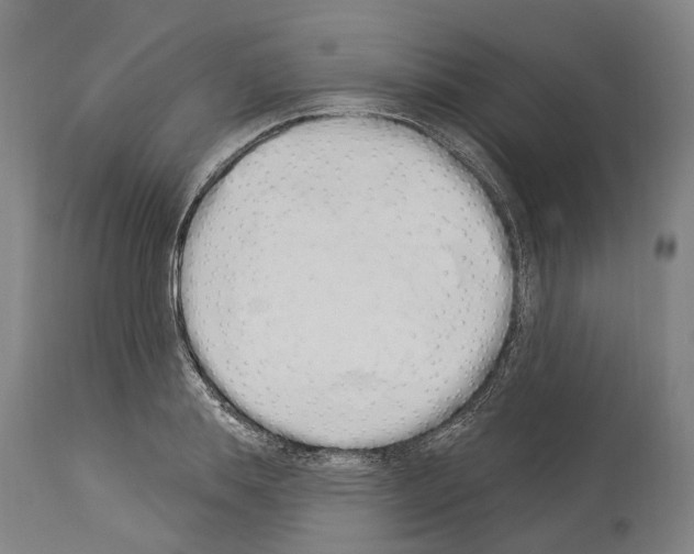 X0000114030839200911131247