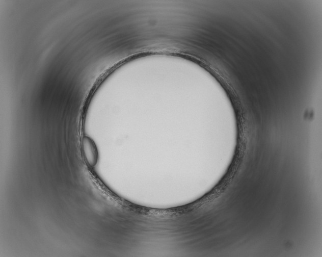 X0000114030840200911131247