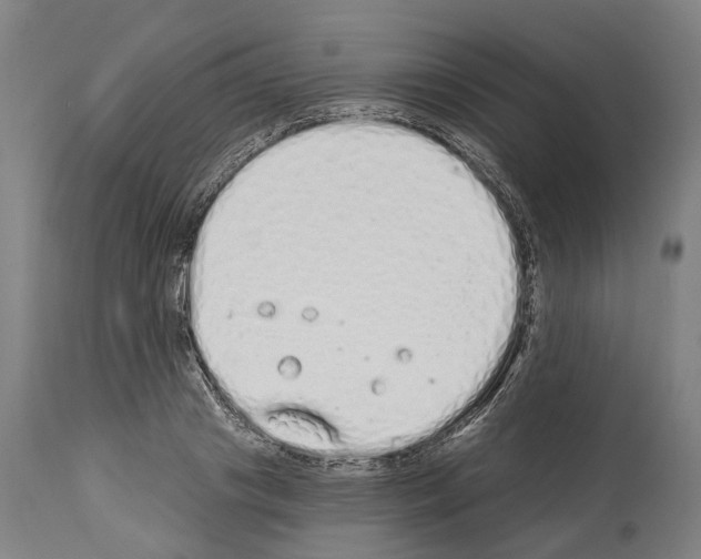 X0000114030841200911131247