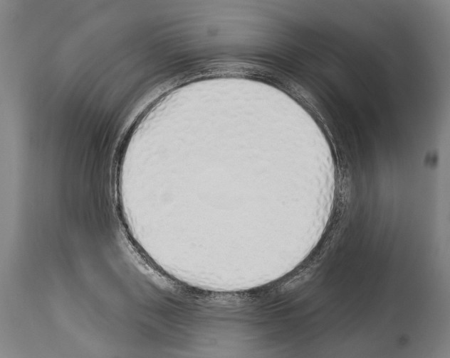 X0000114030843200911131247