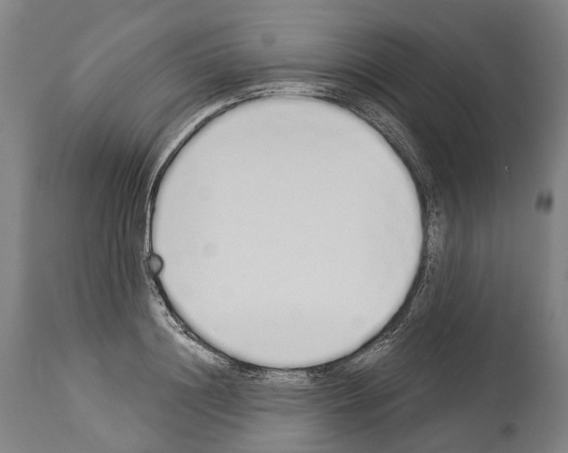 X0000114030844200911131247