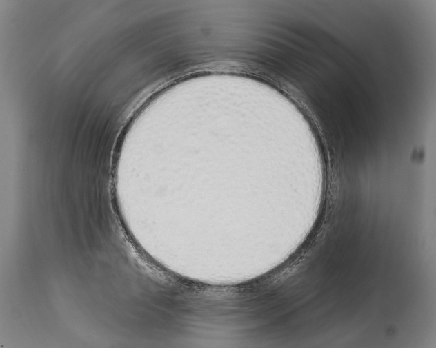 X0000114030845200911131247