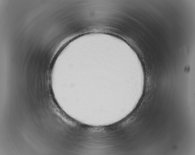 X0000114030846200911131247